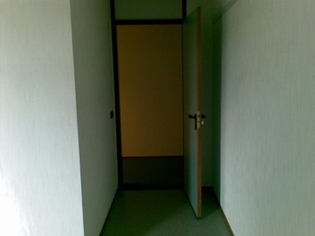 photo42.jpg
