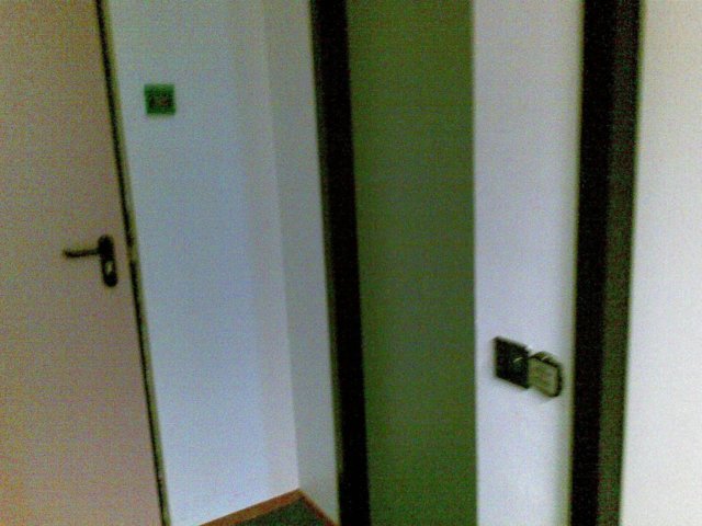 photo43.jpg