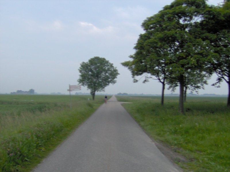 photo14.jpg