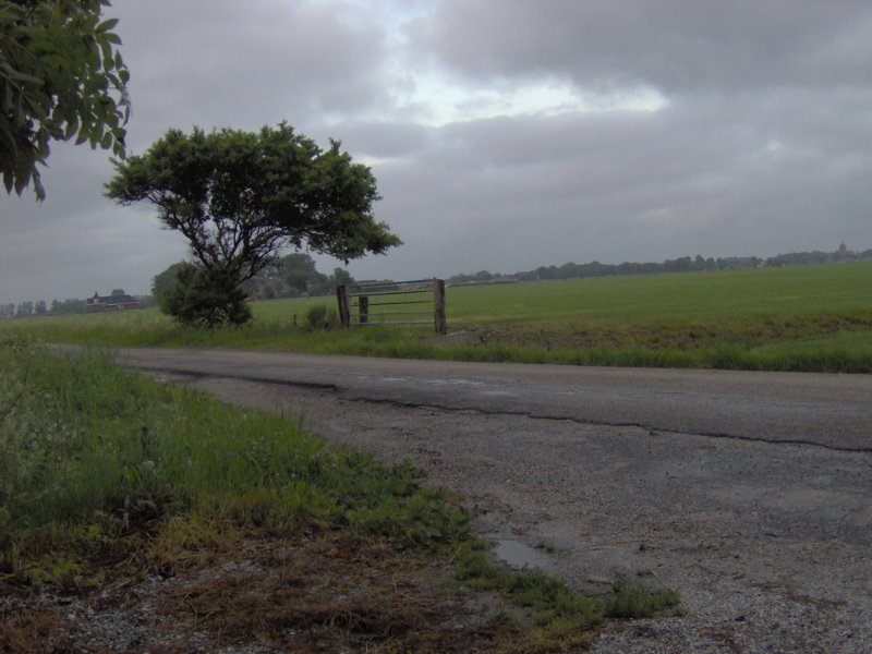 photo33.jpg