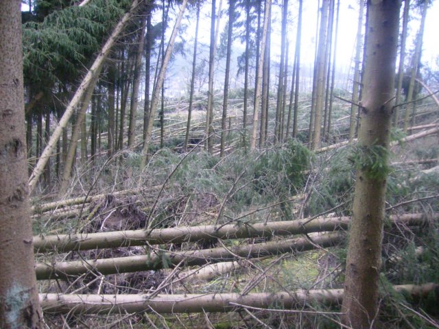 photo52.jpg